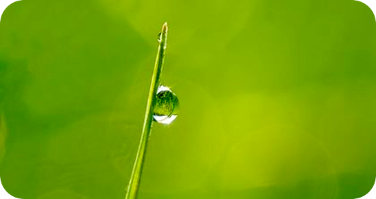大きな変わり目の時。