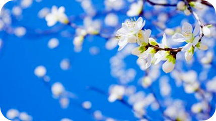 何となく圧を感じる時に、自分軸でいるにはどうすればいいでしょうか？