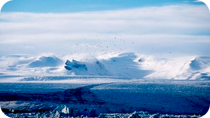 言葉を超えて、伝わるものとは？