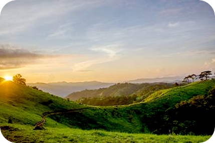 窮地に立った時、エゴや脳のささやきを超えて、自分の感覚と共に生きるとは。