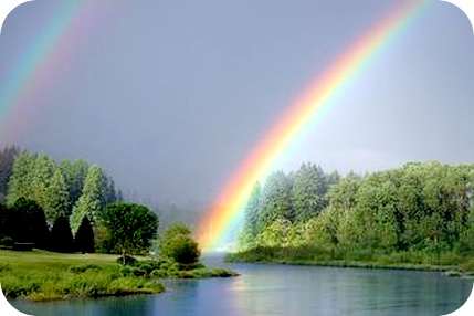 自分の内側、中心からあふれるような好きなことを続けていくこと。