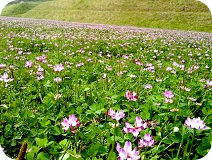 どうしても手にしたいものを得るには？