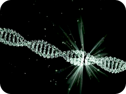 善悪、良い悪い、勝つ負ける、貧富の二極性や判断や闘いを超えていくには？
