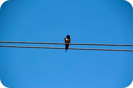 自分の本音、自我、本質（魂、根源、光）、思考を一直線に並べてみたらどんな感じ？