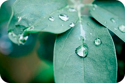 自分を解放して、周りの全てと交流するには。