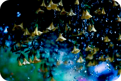 自我をどんどん脱ぎ捨てていくとは。