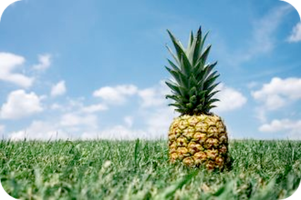 食物からのコントロールとは。