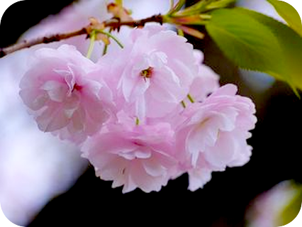 身体の感覚を感じてみるとは？