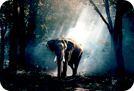 自分の中の二つの根源。