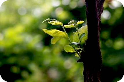 心を超えた世界