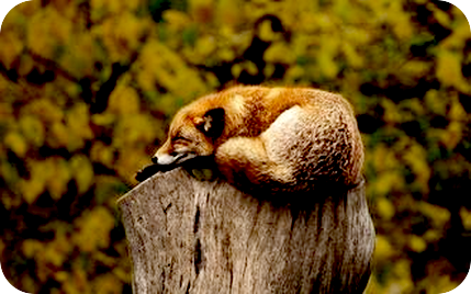 自分と向き合う日々。