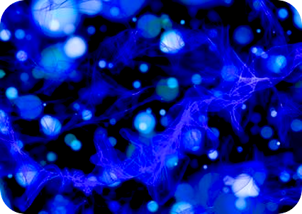 地球のリズムと、全ての生命や私たち人間の細胞のリズムの回転は同じという法則、そして、細胞の輝きとは。