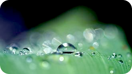 記憶を全て忘れてしまうこと。