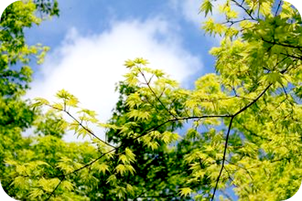 自分の内側と外側とは。