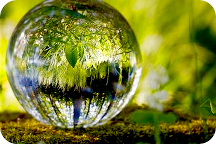 共生していくこと。