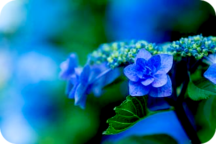 透明な存在とは。