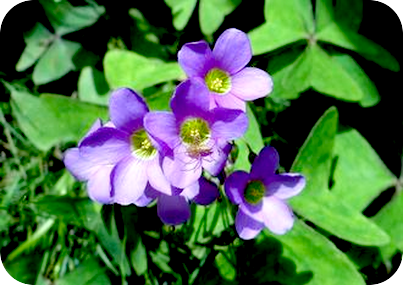 闘いが終わり、共に生きていくこと。