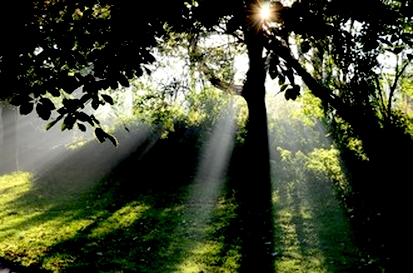 夢や自分の天命、使命を見つける方法
