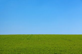 成功法や願望の実現方法について