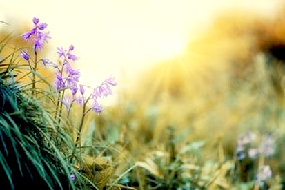 続けていくこと、徹底的にやっていくこととは。