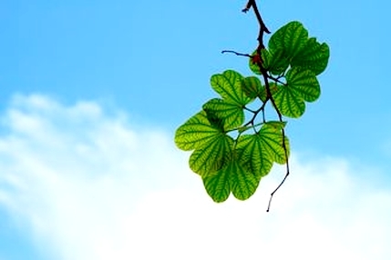 ファンタジーのような世界と思われがちなスピリチュアルの世界と科学とのつながり。