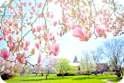 制限という檻（オリ）からの目覚め