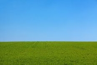 本当の自分への扉を開ける方法